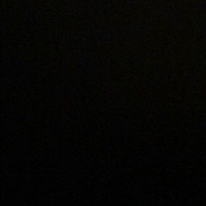 Meet your Posher, Ella